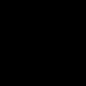 Classic Black Garment